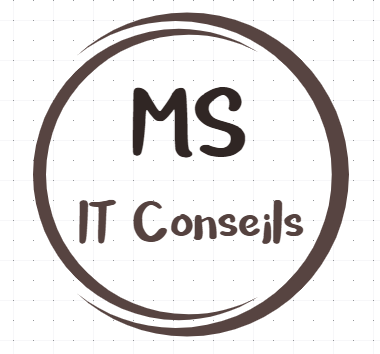 MS IT Conseils